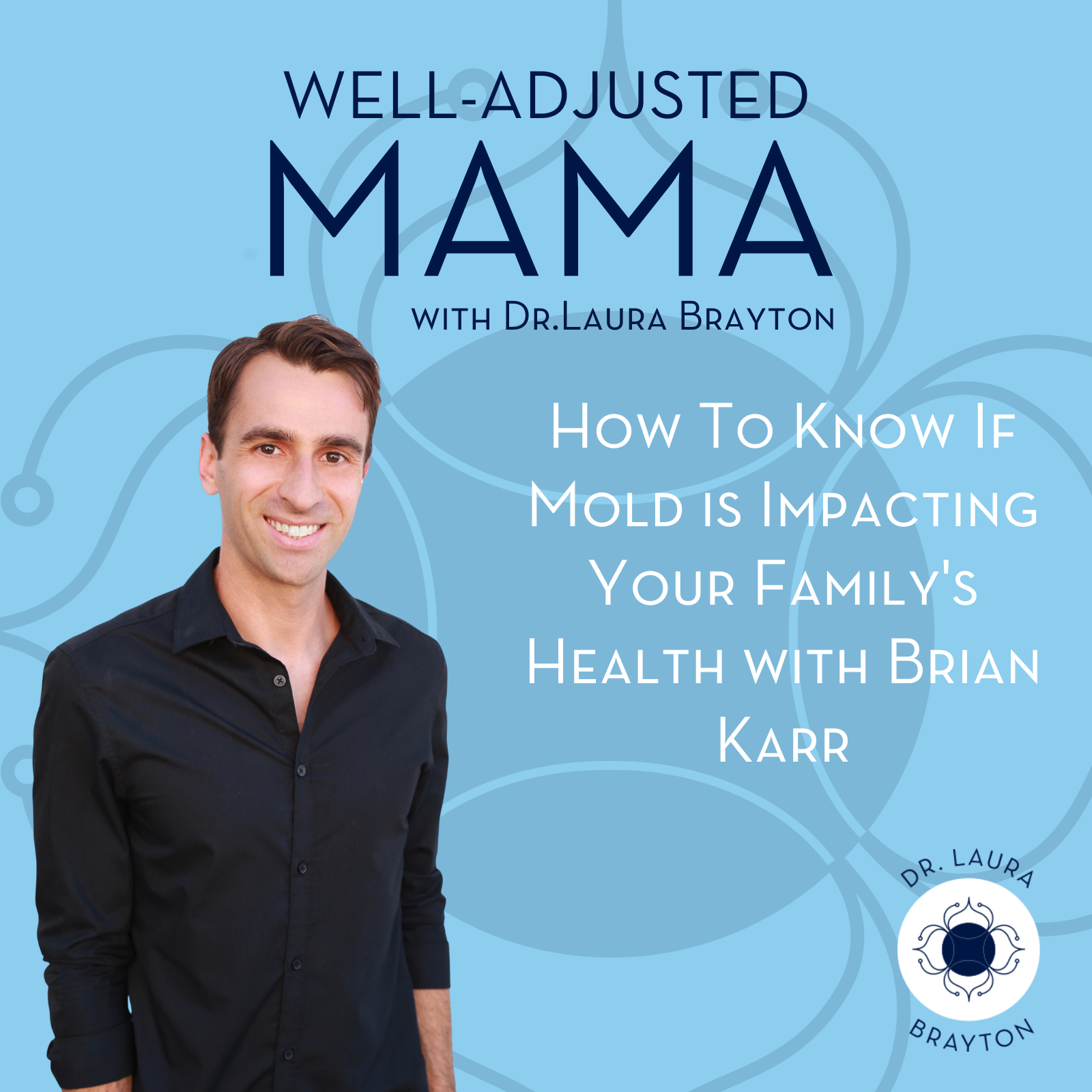 250-website Brian Karr